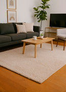 Cosy Plush Soft Shaggy Rug (Beige, 120 x 170cm)