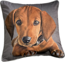 Dachshund Dog Print Square Cushion,Grey. 45x45cm (CSHN19)